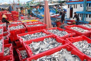 Bộ Nông nghiệp đề ra 7 giải pháp phát triển ngành thủy sản 