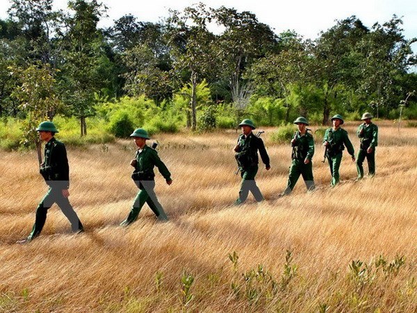 Tuần tra khu vực vành đai biên giới Việt Nam-Campuchia. (Ảnh minh họa: Dương Giang/TTXVN)