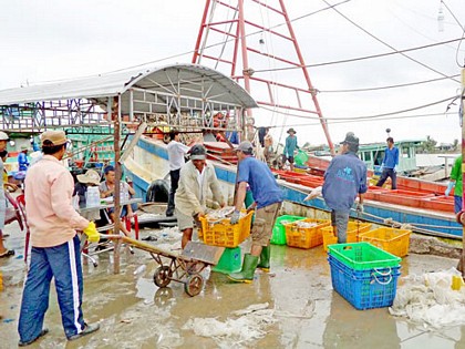 Nhộn nhịp ở cảng cá Gành Hào