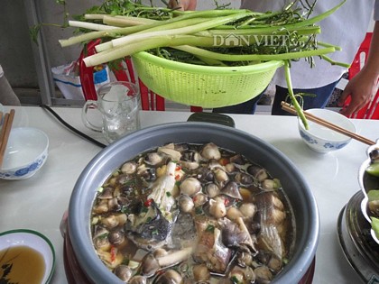 Cá ba sa nấu nấm dùng chung với rau vườn.