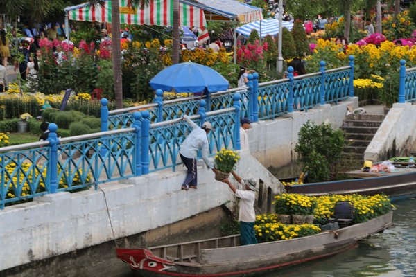  Ngoài phương tiện xe, nhà vườn còn sử dụng phương tiện ghe xuồng để đưa hoa về chợ