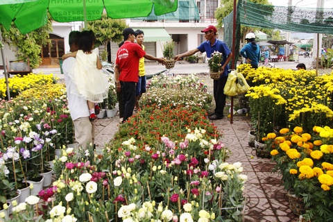Chợ hoa cũng nhộn nhịp và nhiều sắc màu không kém chợ hoa thành thị.