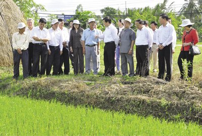 Chủ tịch nước Trương Tấn Sang (người thứ tư từ phải qua) thăm cánh đồng mẫu ở Vũng Liêm. Ảnh Dương Thu