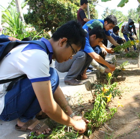 Bạn trẻ trồng hoa tạo mỹ quan và bảo vệ môi trường.