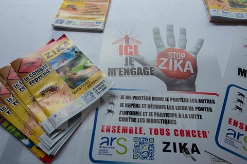 Ápphích và tờ rơi tuyên truyền phòng chống virus Zika. (Nguồn: AFP/TTXVN)
