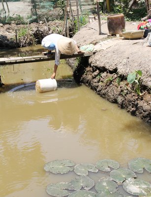Gia đình chị Hương sử dụng nước ở cái mương nhỏ, nước cạn, đục ngầu.
