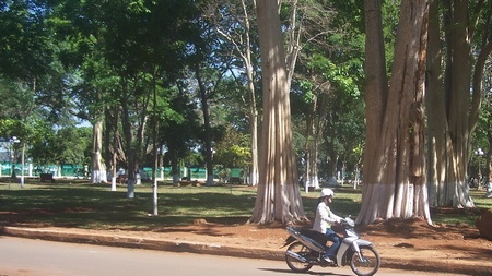Những mảng cây xanh cho thành phố thủ phủ Tây Nguyên còn được giữ gìn.