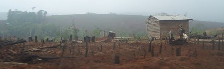 Diện tích rừng còn sót lại ở Nam Tây Nguyên (Tuy Đức- Đăk Nông) bị triệt hạ.