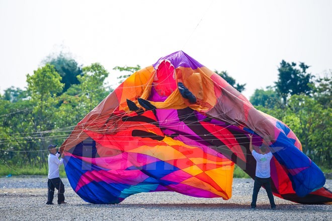 Đặc biệt, Câu lạc bộ diều Sài Gòn mang tới Festival một con diều ‘cá đuối’ khổng lồ trị giá hơn 100 triệu đồng. (Ảnh: PV/Vietnam+)