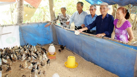 Các cấp hội đến tham quan mô hình nuôi gà của ông Thành (thứ 2 bên phải).