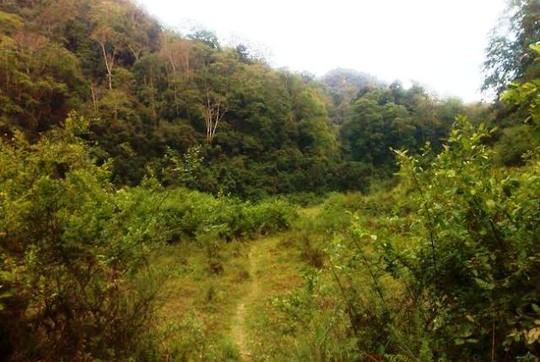 Được vào bản Kịt phải đi bộ nhiều km đường rừng nên công tác cứu hộ gặp nhiều khó khăn