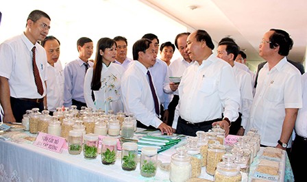  Viện Lúa ĐBSCL giới thiệu đến Thủ tướng Chính phủ Nguyễn Xuân Phúc những thành quả nghiên cứu khoa học về chọn tạo giống.