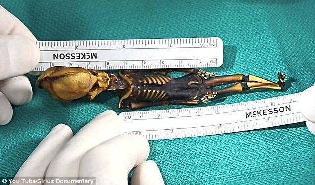 Bộ xương bí ẩn được tìm thấy trên sa mạc Atacama ở Chile cách đây hơn 10 năm.