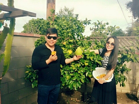 Quang Lê thường xuyên mời đồng nghiệp tới thưởng thức cây trái trong vườn.