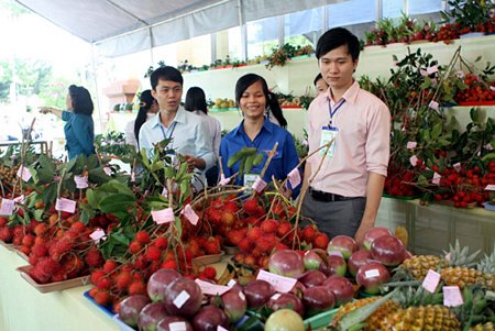Rau quả có nhiều cơ hội trở thành ngành xuất khẩu chủ lực của nông sản Việt Nam.