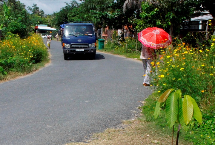 Phong trào “Sáng- xanh- sạch- đẹp” lan tỏa đến mọi nẻo đường quê.Ảnh: TRẦN ÚT