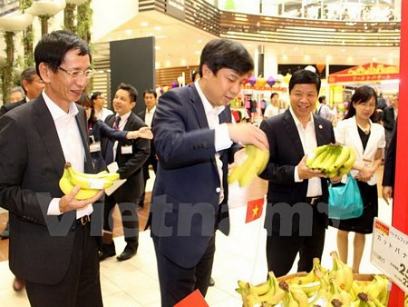 Các đại biểu thăm quan gian hàng bán chuối của Việt Nam tại triển lãm. (Ảnh: Gia Quân/Vietnam+)