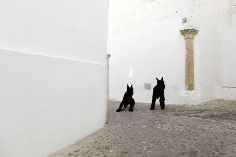 Những dấu vết văn hóa kiến trúc Hồi giáo như hoa văn, cột trụ vẫn còn sót lại ở Andalusia.