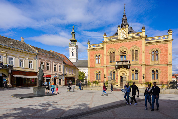 Novi Sad, Serbia có nhiều viện bảo tàng, phòng trưng bày và các di tích. Thị trấn là một thủ đô văn hóa thực sự của Serbia.