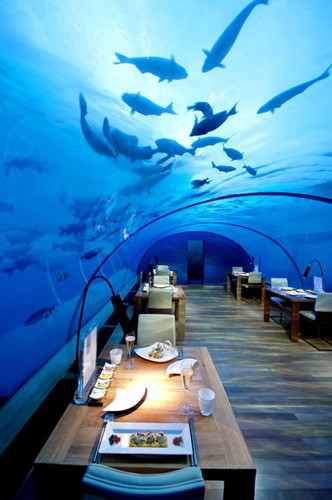 Nhà hàng có kết cấu bằng vòm kính dày, nhìn ra khu vực san hô rực rỡ và những đàn cá bơi lượn. Cảnh quan tuyệt vời từ nhà hàng khiến rất nhiều thực khách chịu bỏ một số tiền lớn để chiêm ngưỡng.