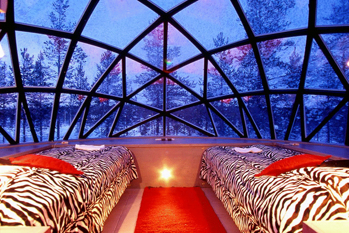 Bên trong một trong những lều tuyết ở làng Igloo, Phần Lan. Phòng có một lớp thủy tinh dày cách nhiệt để đảm bảo độ ấm cho căn phòng cũng như tạo ra tầm nhìn đẹp.