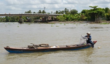 Chú Nguyễn Văn Lượm (ấp Đông, xã Kim Sơn, huyện Châu Thành) thả lưới bắt cá và lượm củi trên sông Tiền.