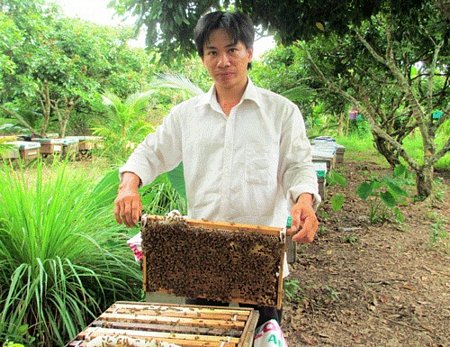 Anh Võ Minh Điền thường xuyên di chuyển các vùng để cung cấp đủ mật cho đàn ong Ý của mình. Ảnh: C.L