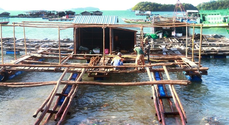 Phát triển kinh tế của người dân vùng đảo Hòn Đốc  (Hà Tiên, Kiên Giang). từ nguồn nuôi trồng thủy sản ở ven biển.