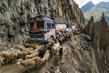 Zoji La, Ấn Độ: Con đường qua núi nối liền vùng Ladakh và Kashmir dài 9km, nơi người ta có thể cùng lúc qua lại và chăn nuôi