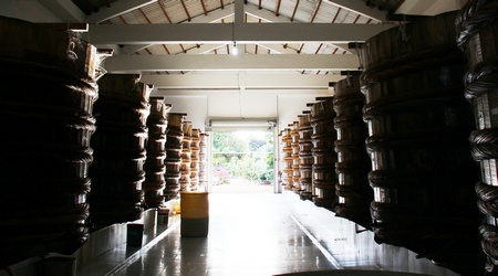 Những cơ sở sản xuất nước mắm ở Vĩnh Long vẫn giữ phương pháp ủ cá và muối truyền thống.