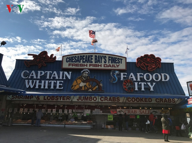 Được biết tới như “Cảng cá” hay chỉ đơn giản là “Cảng”, đây là một trong số ít những khu chợ hải sản ngoài trời vẫn còn hoạt động tại khu bờ đông nước Mỹ.