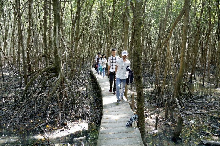 Con đường giữa rừng đước mát lộng cũng tạo cho du khách nhiều sự thích thú.