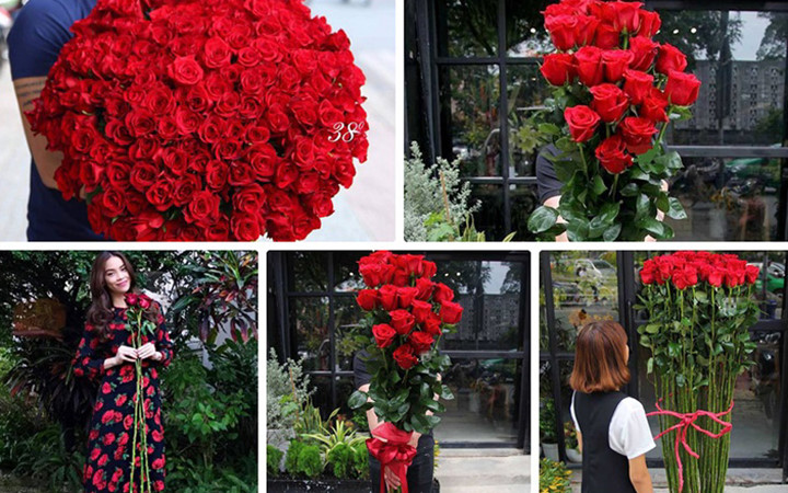 Hoa hồng Ecuador có chiều dài hàng mét được nhiều khách hàng săn lùng và chọn mua dù giá bán khá cao so với các loại hoa thông thường