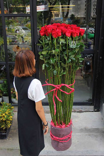Hoa hồng Ecuador cao trung bình từ 0,6 - 2m, kích thước bông khá lớn, khoảng từ 10 – 15 cm (Ảnh: Zing)