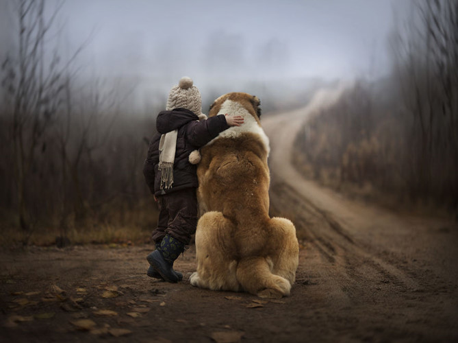 Những bức ảnh tuyệt đẹp này được Elena Shumilova chụp dưới lăng kính thú vị khi quan sát tình bạn đáng yêu giữa trẻ thơ và những vật nuôi thân thiết như chó, mèo, vịt và thỏ.
