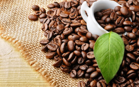 Cà phê: Nhiệt độ thấp ảnh hưởng xấu đến chất lượng và hương vị của cà phê. Bên cạnh đó, các sản phẩm khác có thể bị ám mùi cà phê.