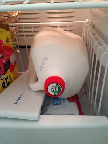 Nếu bạn đã mua một gallon sữa và sau đó bạn có một kỳ nghỉ, đừng lo lắng, sữa sẽ không hỏng nếu được đóng băng. Đổ ra một ít sữa trước khi đông lạnh vì nó sẽ làm tăng khối lượng. Dùng sữa tươi được đóng băng không quá 4-6 tuần.