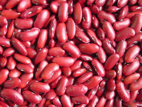 Đậu đỏ khi ăn sống có thể gây buồn nôn và tiêu chảy do chất lectin, phytohaemagglutinin có tự nhiên trong đậu.