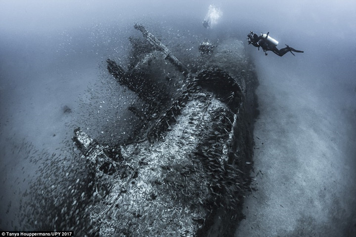 Một phần xác tàu U-352 ngoài khơi bờ biển Bắc Carolina, Hoa Kỳ.