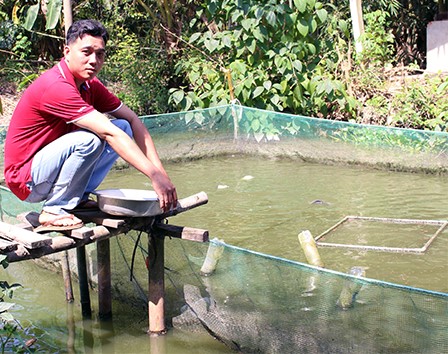 Nhờ mô hình nuôi cá thát lát, anh Nguyễn Anh Nguyên có thu nhập gần 100 triệu đồng/năm.