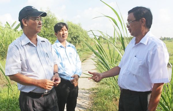 Đoàn nắm tình hình chuyển đổi cây trồng ở ấp Tích Phú