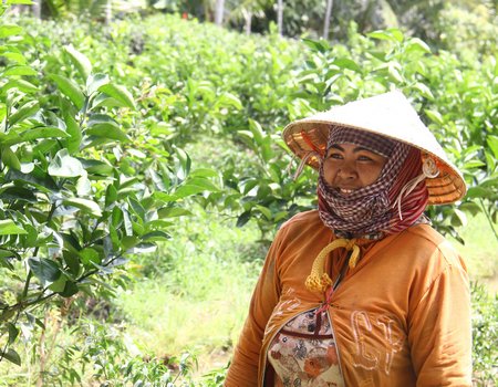 Chị Kim Thị Sol Ti Phép bên vườn cam của mình.