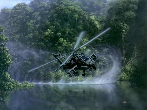 Apache là trực thăng có 2 ghế ngồi dành cho 2 phi công hoặc 1 phi công và một người điều khiển súng máy. Ảnh: Quân đội Mỹ