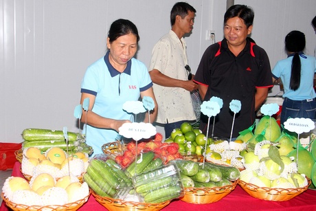Nhiều loại nông sản của Vĩnh Long được doanh nghiệp thu mua, sơ chế để cung cấp cho các siêu thị lớn ở TP Hồ Chí Minh.