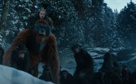 War for the Planet of the Apes tiếp tục được thực hiện bởi Matt Reeves, đạo diễn của phần phim thứ 2 Dawn of the Planet of the Apes. 