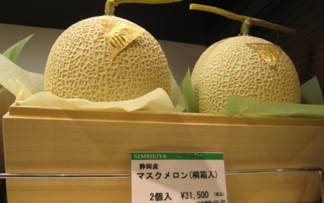 Dưa lưới Yubari là một trong những loại trái cây cao cấp nhất Nhật Bản