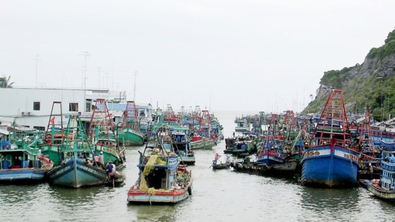 Tỉnh Kiên Giang tăng cường quản lý tàu thuyền đánh cá, đảm bảo an toàn trong mùa mưa bão