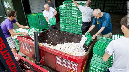 Các nông dân chăn nuôi gia cầm ở Hà Lan đã phải vứt bỏ trứng bị nhiễm thuốc trừ sâu fipronil hồi đầu tháng này.