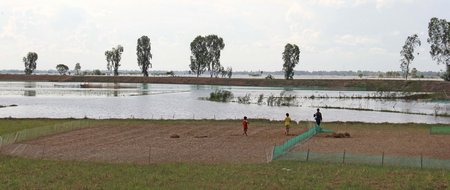  Nước đang tràn tới cánh đồng Thường Lạc.
