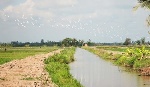 Nguồn nước thuận lợi sản xuất lúa Đông Xuân
